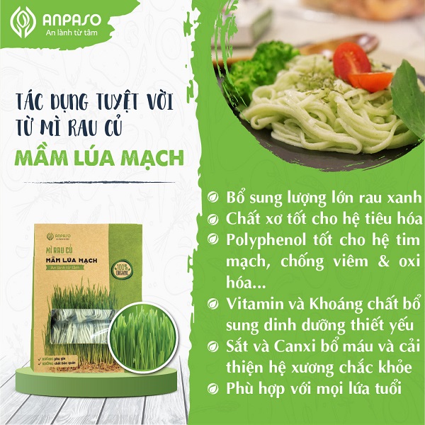 Mì Mầm Lúa Mạch Organic Anpaso